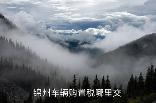 錦州國稅局車輛購置部門是什么，錦州機動車購置稅在哪里交