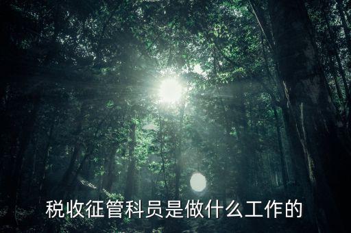 國稅局征管員和企業(yè)要做什么，稅收征管的公務員主要做什么工作