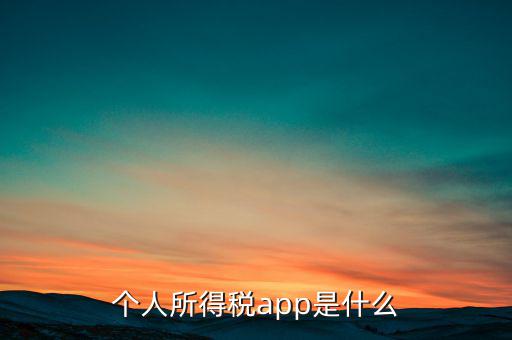 網(wǎng)上交稅要下載什么東西，個(gè)人所得稅官網(wǎng)登錄企業(yè)個(gè)人所得稅要下載什么端口申報(bào)