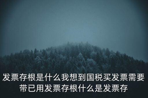 發(fā)票電子存根是什么，發(fā)票存根是什么