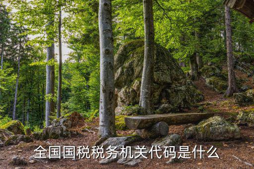 國(guó)稅的用戶代碼是什么，國(guó)稅局發(fā)票軟件里用戶代碼和密碼是什么