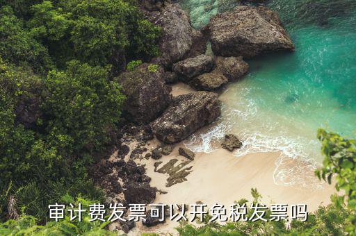 審計費(fèi)開什么發(fā)票，審計費(fèi)發(fā)票稅目