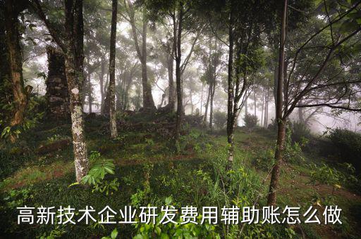 研發(fā)支出輔助賬是什么時候填，什么企業(yè)需要填 研發(fā)支出輔助賬匯總表
