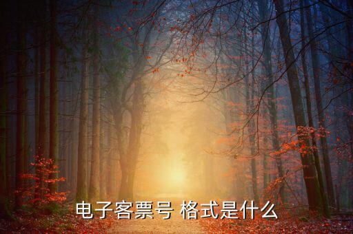 電子稅票號(hào)碼是什么，蘋(píng)果官網(wǎng)買(mǎi)的6的電子發(fā)票是什么樣的