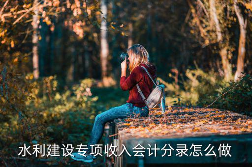 水利建設(shè)專項收入是什么，水利建設(shè)專項收入會計分錄怎么做