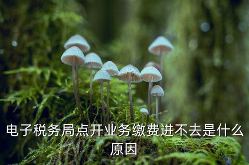 為什么江蘇省電子稅務(wù)局進(jìn)不去，請(qǐng)問(wèn)電子稅務(wù)局登不上去怎么回事