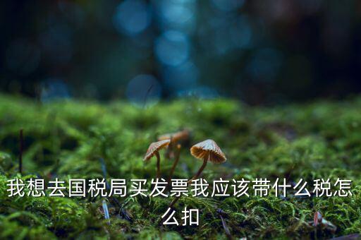 去國稅局扣稅需帶什么，我想去國稅局買發(fā)票我應該帶什么稅怎么扣