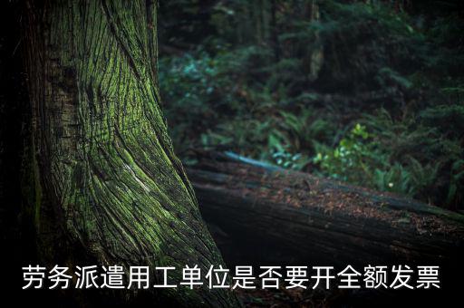 勞務(wù)派遣開(kāi)什么票，勞務(wù)派遣小時(shí)工發(fā)票怎么開(kāi)