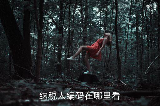 地稅稅源編號(hào)是什么，建筑業(yè)地稅稅源編號(hào)指的是啥