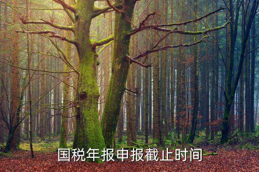 新疆國稅申報(bào)11月的什么時(shí)候結(jié)束，國稅年報(bào)申報(bào)截止時(shí)間