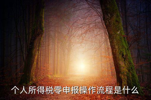 扣繳稅款登記主要流程是什么，納稅流程是怎樣的