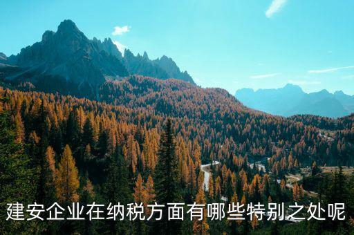 建安企業(yè)申報(bào)是什么，做消防工程開具建安發(fā)票的公司申報(bào)是地稅還是國稅啊還是兩個(gè)都