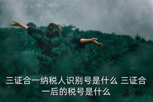 三證合一后稅號是什么，三證合一納稅人識別號是什么 三證合一后的稅號是什么
