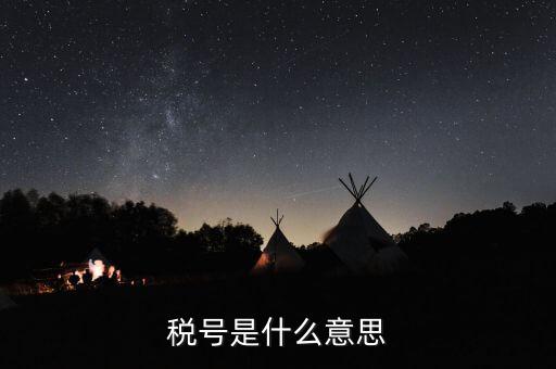 金稅盤企業(yè)稅號是什么意思，公司稅號是什么
