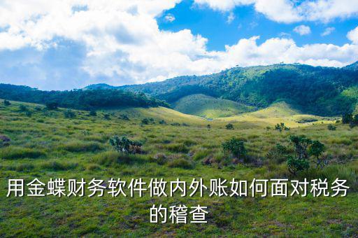 稅務稽查用的什么軟件，用金蝶財務軟件做內(nèi)外賬如何面對稅務的稽查