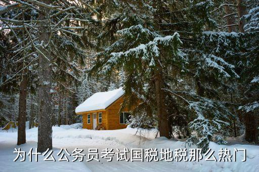 為什么報(bào)考地稅局，為什么公務(wù)員考試國(guó)稅地稅那么熱門(mén)