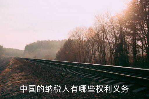 納稅服務(wù)什么權(quán)，中國的納稅人有哪些權(quán)利義務(wù)