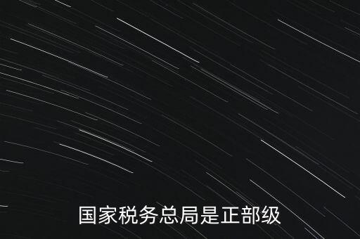 稅務(wù)大廳主任什么級(jí)別，金河鎮(zhèn)稅務(wù)務(wù)局局長(zhǎng)是什么級(jí)別
