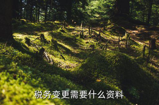 稅務(wù)機(jī)構(gòu)改革需要什么，稅務(wù)變更需要什么資料