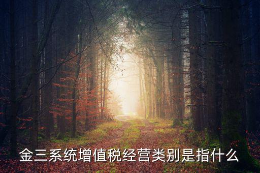 金三稅都包括什么，金稅三期是什么意思