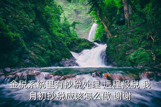 通過航天遠(yuǎn)程申報讀卡器讀寫數(shù)據(jù)是個什么樣的過程，金稅系統(tǒng)里有抄稅處理 遠(yuǎn)程報稅 我月初抄稅應(yīng)該怎么做 謝謝
