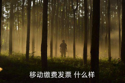 移動(dòng)電子發(fā)票什么樣，移動(dòng)繳費(fèi)發(fā)票 什么樣