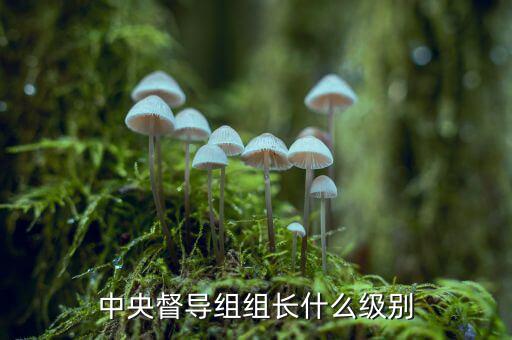 稅務督導組組長什么級別，縣委縣政府督察組組長行政級別具體工作是什么