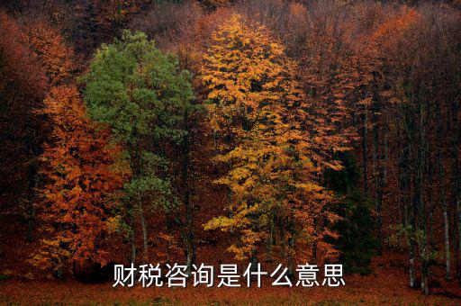 深圳稅務(wù)納稅咨詢平臺(tái)是什么意思，財(cái)稅咨詢是什么意思