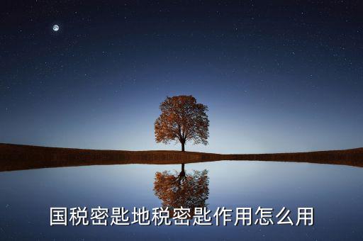 地稅密鑰是干什么的，國稅密匙地稅密匙作用怎么用