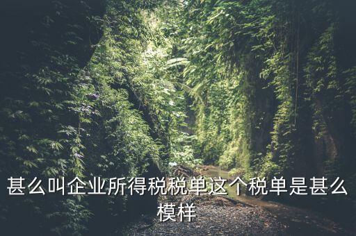 企業(yè)所得稅稅單是什么，稅單是什么怎樣提供稅單