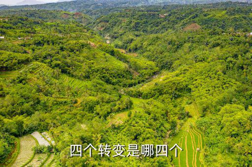 四個轉(zhuǎn)變是什么   稅收，詳細(xì)介紹一下四種流轉(zhuǎn)稅