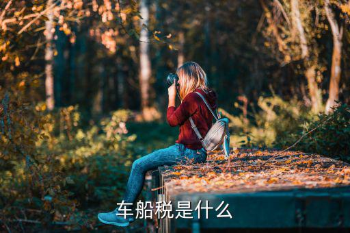 車船稅和什么有關(guān)，什么是車船稅