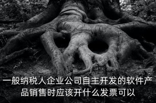 賣(mài)軟件交什么稅，一般納稅人企業(yè)公司自主開(kāi)發(fā)的軟件產(chǎn)品銷(xiāo)售時(shí)應(yīng)該開(kāi)什么發(fā)票可以