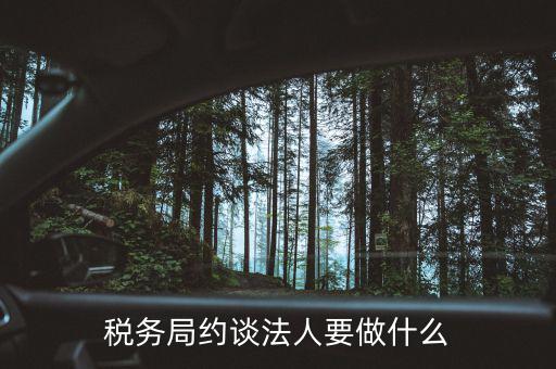 稅務異常約談法定代表干什么，稅務局約談法人要做什么