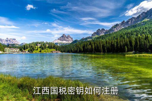 江西國(guó)稅密鑰是什么意思，為啥江西國(guó)稅的CA密鑰總是裝不成功