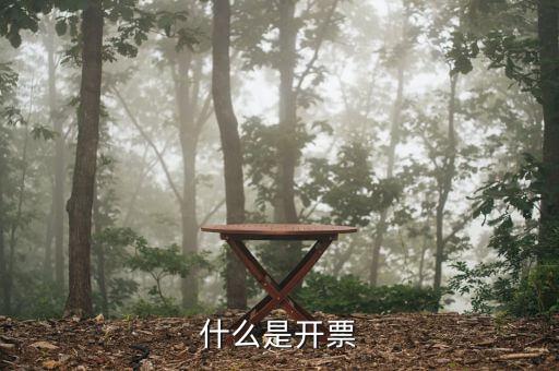 開票資料是什么，什么是開票