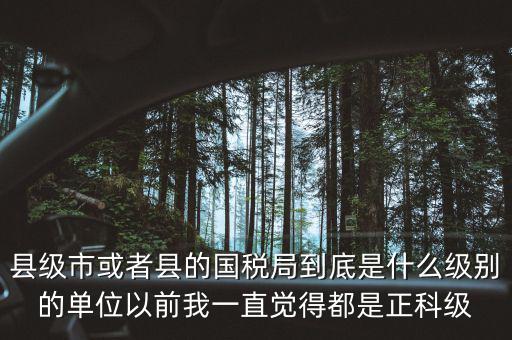 縣國(guó)稅局辦稅服務(wù)廳主任是什么級(jí)別，縣地稅局辦公室主任是什么行政級(jí)別