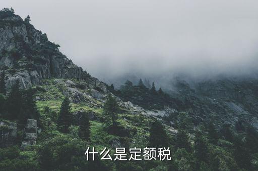 什么是定額納稅，什么是定額稅