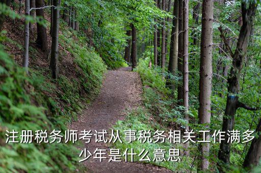 稅務從業(yè)人數是什么意思，請問稅務自查表中的查 數是什么意思急