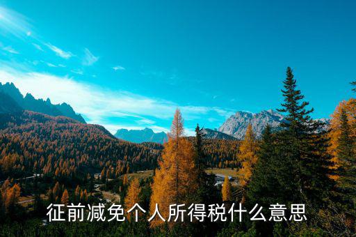 征前減免和退庫減免什么意思，征前減免個(gè)人所得稅什么意思