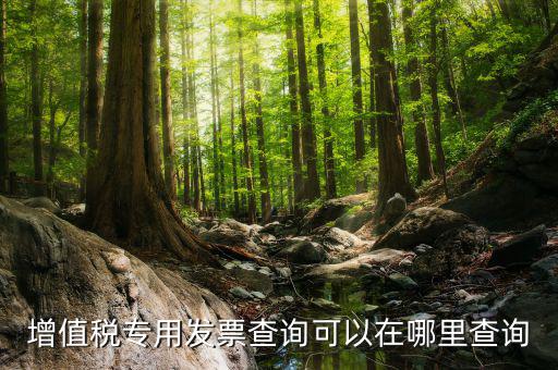 什么地方可以查發(fā)票內(nèi)容，怎樣通過發(fā)票號(hào)碼查尋發(fā)票內(nèi)容