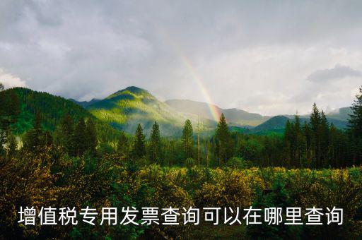 在什么網(wǎng)站查發(fā)票，發(fā)票查驗(yàn)在哪里查