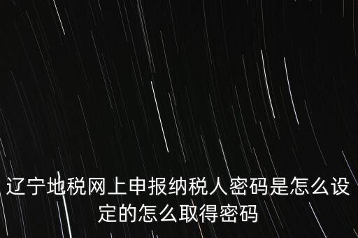 地稅網上自然人申報密碼是什么，地稅申報的用戶名和密碼是什么