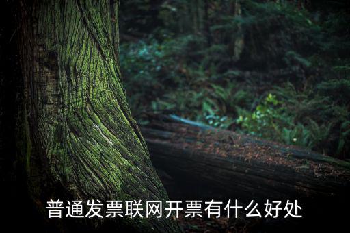 普通網(wǎng)絡(luò)發(fā)票有什么用，開普通發(fā)票網(wǎng)絡(luò)受理號有什么作用