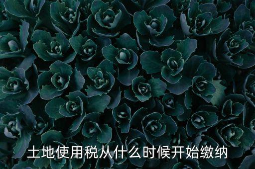 土地使用稅什么時(shí)候開始交，什么時(shí)候開始繳納房產(chǎn)稅和土地使用稅是否都要繳納