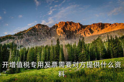 開增值稅專用票需要對方提供什么資料，銷售方開具增值稅專用發(fā)票需要對方提供什么資料