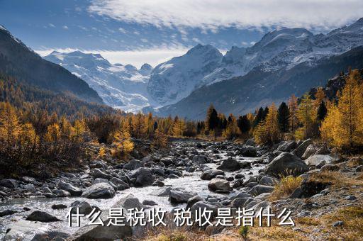 政府統(tǒng)計的稅收是什么意思，什么叫稅收