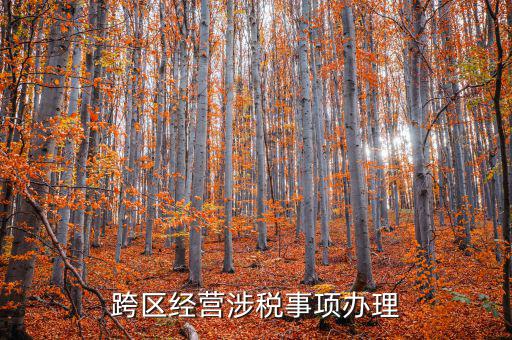 跨區(qū)經(jīng)營(yíng)涉稅事項(xiàng)辦理