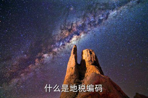 地稅編碼是什么意思，什么是地稅編碼