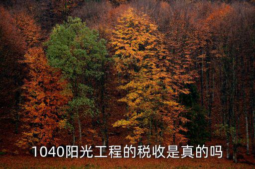 什么是陽光稅務(wù)，1040陽光工程的稅收是真的嗎